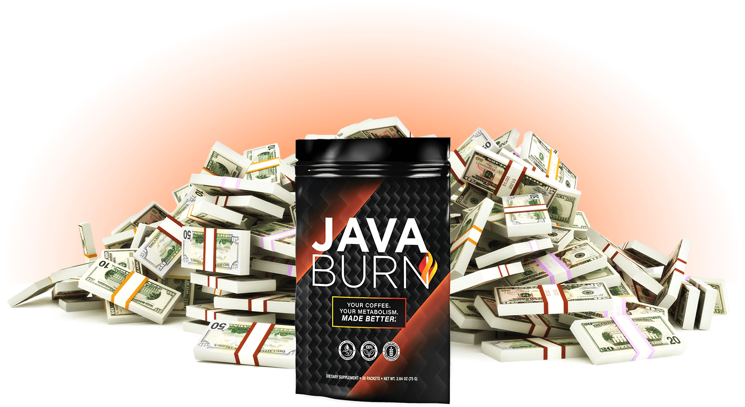 Java Burn 1 Million Dollars